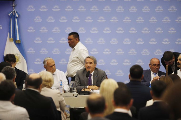 Mayoraz presidió el debate en la Cámara baja