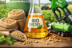 La producción de biodiésel argentino se exporta casi en exclusividad a la UE