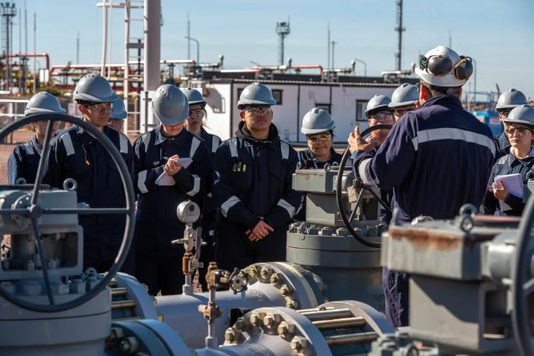 La oferta acad&eacute;mica combina clases presenciales con pr&aacute;cticas intensivas.