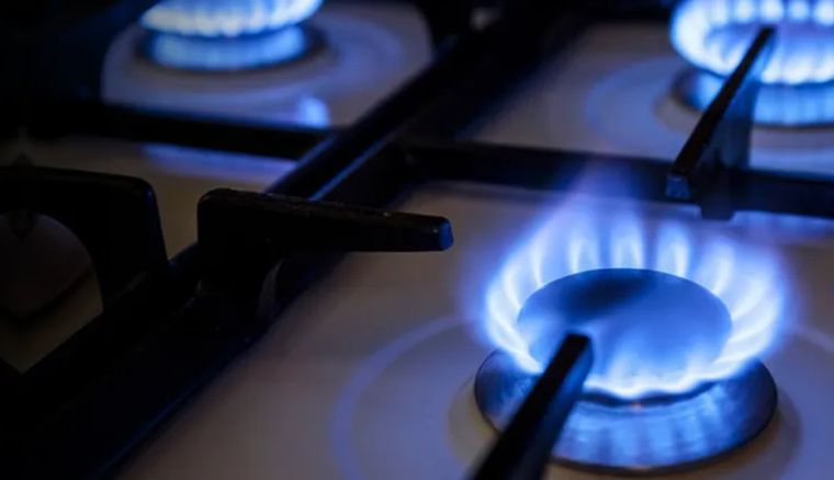 Los trabajos en el Gasoducto Cordillerano permitieron habilitar nuevas conexiones.