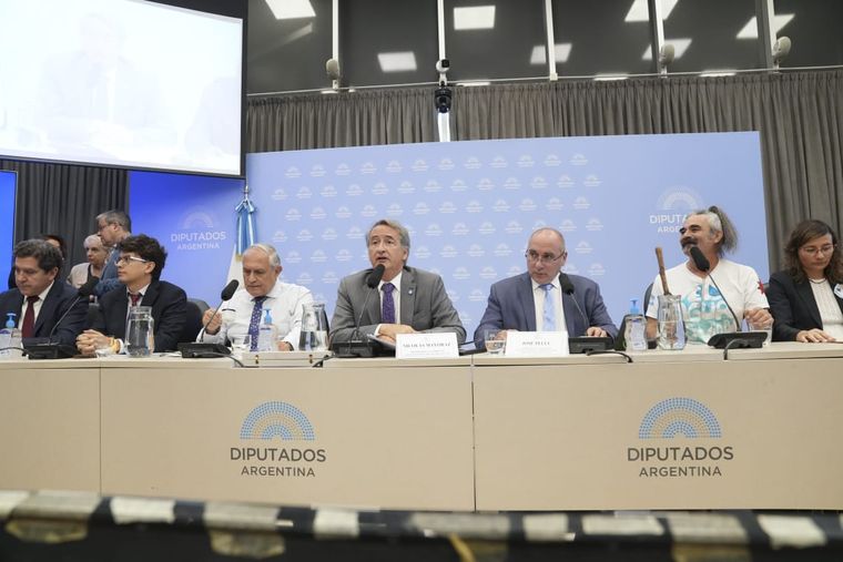 Tras las audiencias públicas por la Ley de Glaciares, convocan a sesión especial