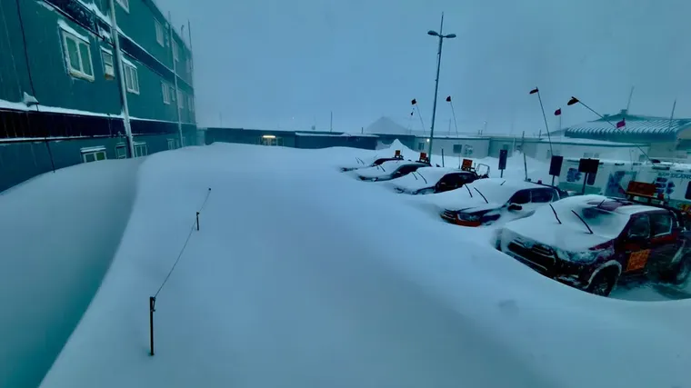 veladero temporal dos
