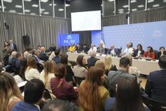 Este jueves continúa la audiencia pública en Diputados para discutir la reforma a la Ley de Glaciares.