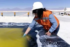 En la previa del acuerdo comercial, EE. UU. fue el segundo mayor comprador de litio de la Argentina.