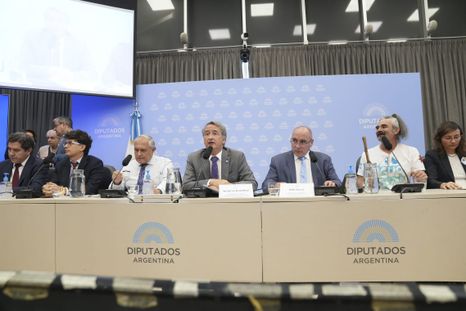 Tras las audiencias públicas por la Ley de Glaciares, convocan a sesión especial Tras las audiencias públicas por la Ley de Glaciares, convocan a sesión especial