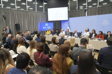 Este jueves continúa la audiencia pública en Diputados para discutir la reforma a la Ley de Glaciares. Este jueves continúa la audiencia pública en Diputados para discutir la reforma a la Ley de Glaciares.