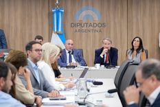 El plenario de Comisiones espera por el debate sobre la Ley de Glaciares.