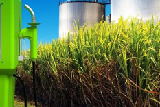 Piden al Gobierno aumentar el corte obligatorio de biocombustibles