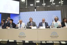 Tras las audiencias públicas por la Ley de Glaciares, convocan a sesión especial