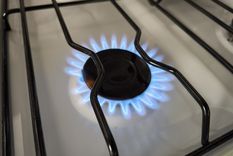 El Gobierno puso en marcha un nuevo esquema de subsidios