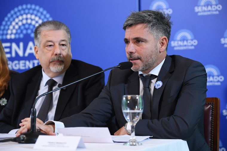 Franco Mignaco, representante del Departamento de Minería de la UIA.