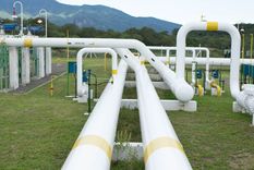 Pluspetrol ofertó para asegurarse la exportación de gas a Chile a través de Transportadora Gas del Norte.