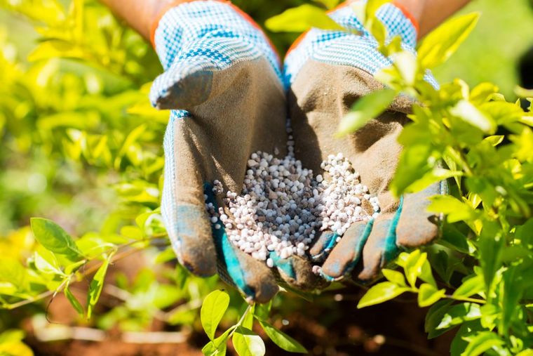 La urea, un insumo fundamental en la agroindustria, atraviesa mayormente el estrecho de Ormuz en su camino importador