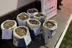 cuanto valia el cargamento de oro ilegal de los mineros chilenos detectados en la cordillera sanjuanina