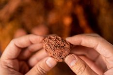 la aie advierte por la dependencia global de minerales en plena crisis energetica