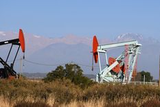 petroleo en alza y fabricas ociosas: la fuerte brecha que mostro el indec