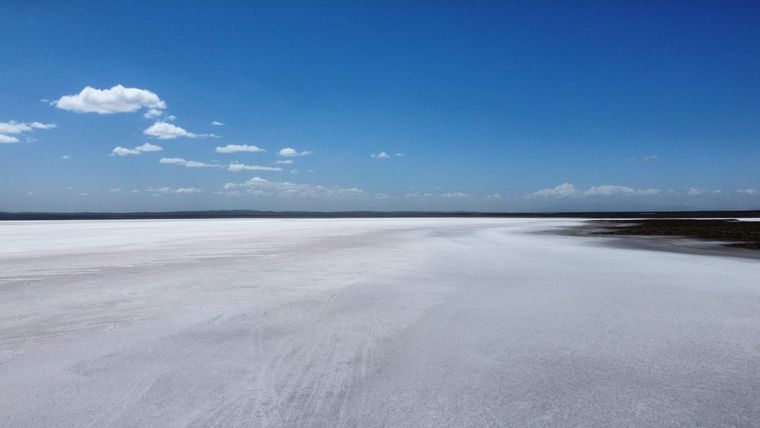 salinas diamante don luis
