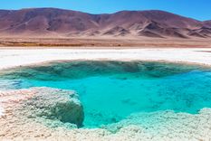 Salares y litio, en Triángulo de oro de Sudamérica que integra Argentina.