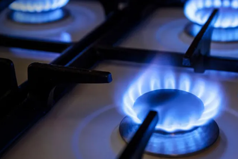 el gobierno nacional dispuso una suba en las tarifas de gas a partir de abril el gobierno nacional dispuso una suba en las tarifas de gas a partir de abril