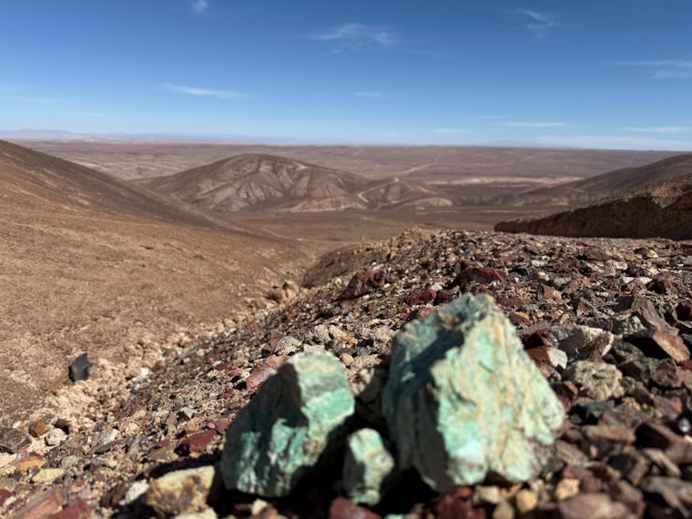 piuquenes andina cooper