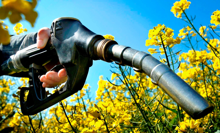 La batalla por los biocombustibles: denuncian que las petroleras usan las subas como “excusa” para aumentar combustibles. La batalla por los biocombustibles: denuncian que las petroleras usan las subas como “excusa” para aumentar combustibles.