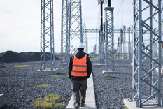 Licitación de Transener: el mapa de empresas con activos cruzados entre energía y minería