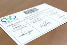 El Certificado Único de Discapacidad es un documento gratuito que acredita oficialmente una discapacidad y habilita el acceso a distintos derechos en todo el país.