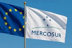 El acuerdo Mercosur Unión Europea no ofrece oportunidades a corto plazo