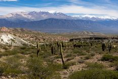 Deslumbrante paisaje de Cachi, en Salta.