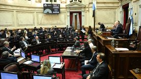 La votación apenas se apartó de la disciplina partidaria. La votación apenas se apartó de la disciplina partidaria.