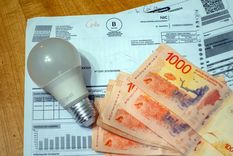 Postergan los subsidios hasta febrero.