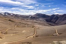 desafia a chile: la cobertura de un diario trasandino sobre vicuna en san juan