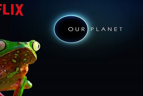 Con narración de David Attenborough, Our Planet, destacado de Netflix. Con narración de David Attenborough, Our Planet, destacado de Netflix.