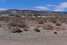 mendoza habilita otro proyecto de potasio mientras la mina de manzano sigue sin definiciones