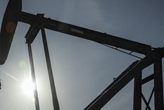 La decisión refuerza el proceso de nacionalización