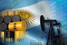 Vaca Muerta y el petróleo siguen acumulando récords de producción.