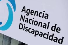 el certificado unico de discapacidad que vencio antes de 2025 ya no tiene mas prorrogas: que hacer ahora